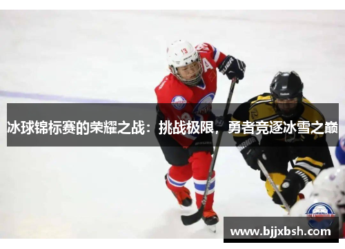 冰球锦标赛的荣耀之战：挑战极限，勇者竞逐冰雪之巅