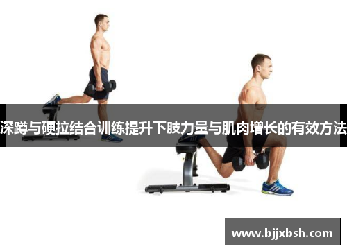 深蹲与硬拉结合训练提升下肢力量与肌肉增长的有效方法