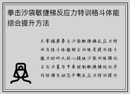 拳击沙袋敏捷梯反应力特训格斗体能综合提升方法